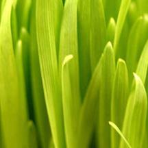 一手货源供应的免费DDOS攻击测试工具